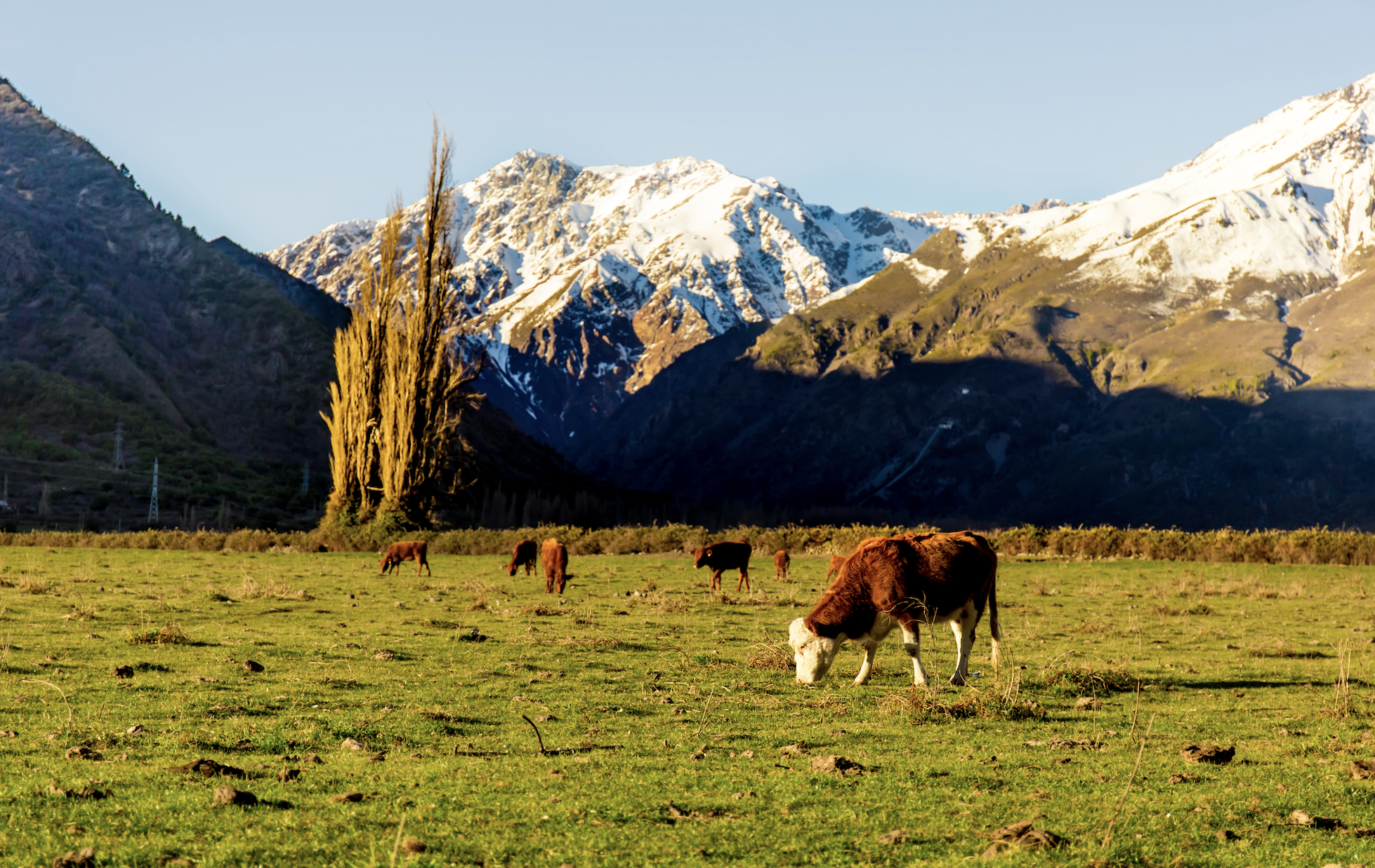 mañana de campo en otoño